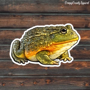 May include: A sticker depicting a detailed illustration of a frog. The frog's skin is textured and bumpy, with green, yellow, and orange hues. The sticker has a white border and the text "Creepy Crawly Apparel" in the upper right corner.