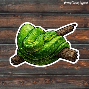 May include: A sticker depicting a bright green snake coiled around a brown branch. The snake has yellow markings and is set against a wooden backdrop. The text "Creepy Crawly Apparel" is in the upper right corner.