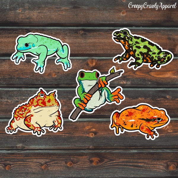 5 Pack Frog & Toad Stickers, Colorful Frog Decals, Vinyl Waterproof Frog Stickers