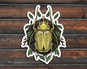 Yellow Beetle Sticker, Bug Sticker, Insect Sticker, Waterproof Beetle Decal
