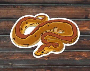 Sticker Enchi Clown Ball Python, Sticker Reptiel, Snake Sticker, Sticker Waterdicht Pet Ball Python
