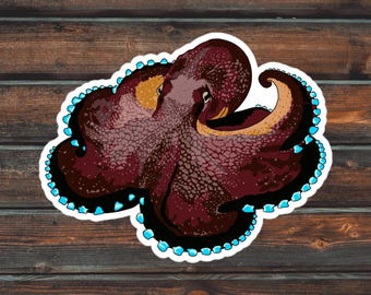 Octopus Sticker, Waterproof Octopus Sticker, Coconut Octopus Sticker, Waterproof Octopus Sticker