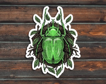Green Beetle Sticker, Bug Sticker, Insect Sticker, Waterproof Beetle Decal