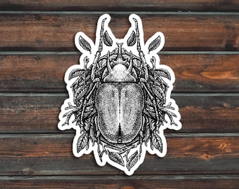 Beetle Sticker, Bug Sticker, Insect Sticker, Waterproof Beetle Decal