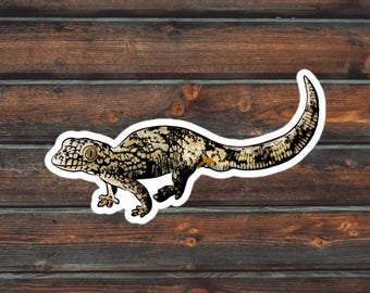 Chameleon Gecko Sticker, Reptile Sticker, Eurydactylodes Sticker, Waterproof Pet Gecko Decal