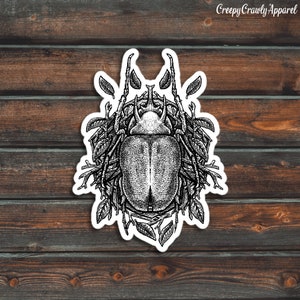 Beetle Sticker, Bug Sticker, Insect Sticker, Vinyl Waterproof Beetle Sticker