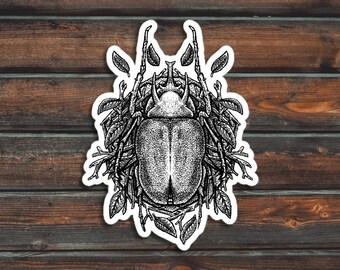 Beetle Sticker, Bug Sticker, Insect Sticker, Vinyl Waterproof Beetle Sticker