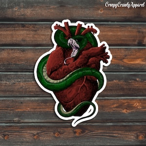 Pegatina de serpiente y corazón, pegatina de serpiente, pegatina de serpiente impermeable de vinilo