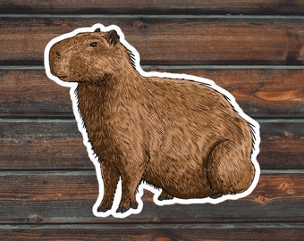 Capybara Sticker, Sitting Capy Sticker, Cute Capybara Sticker, Vinyl Waterproof Capybara Sticker