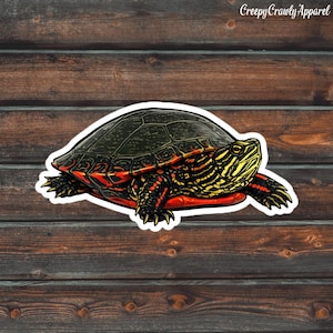 May include: A sticker featuring a detailed illustration of a turtle. The turtle has a dark green shell, red and black markings on its legs and body, and a yellow and black striped head. The text "Creepy Crawly Apparel" is in the top right corner.