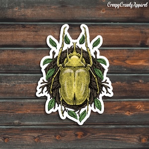 Yellow Beetle Sticker, Bug Sticker, Insect Sticker, Vinyl Waterproof Beetle Sticker