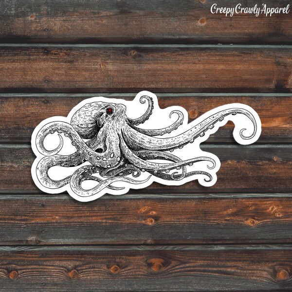 Red Eyed Octopus Sticker, Octopus Water Bottle Sticker, Waterproof Octopus Decal