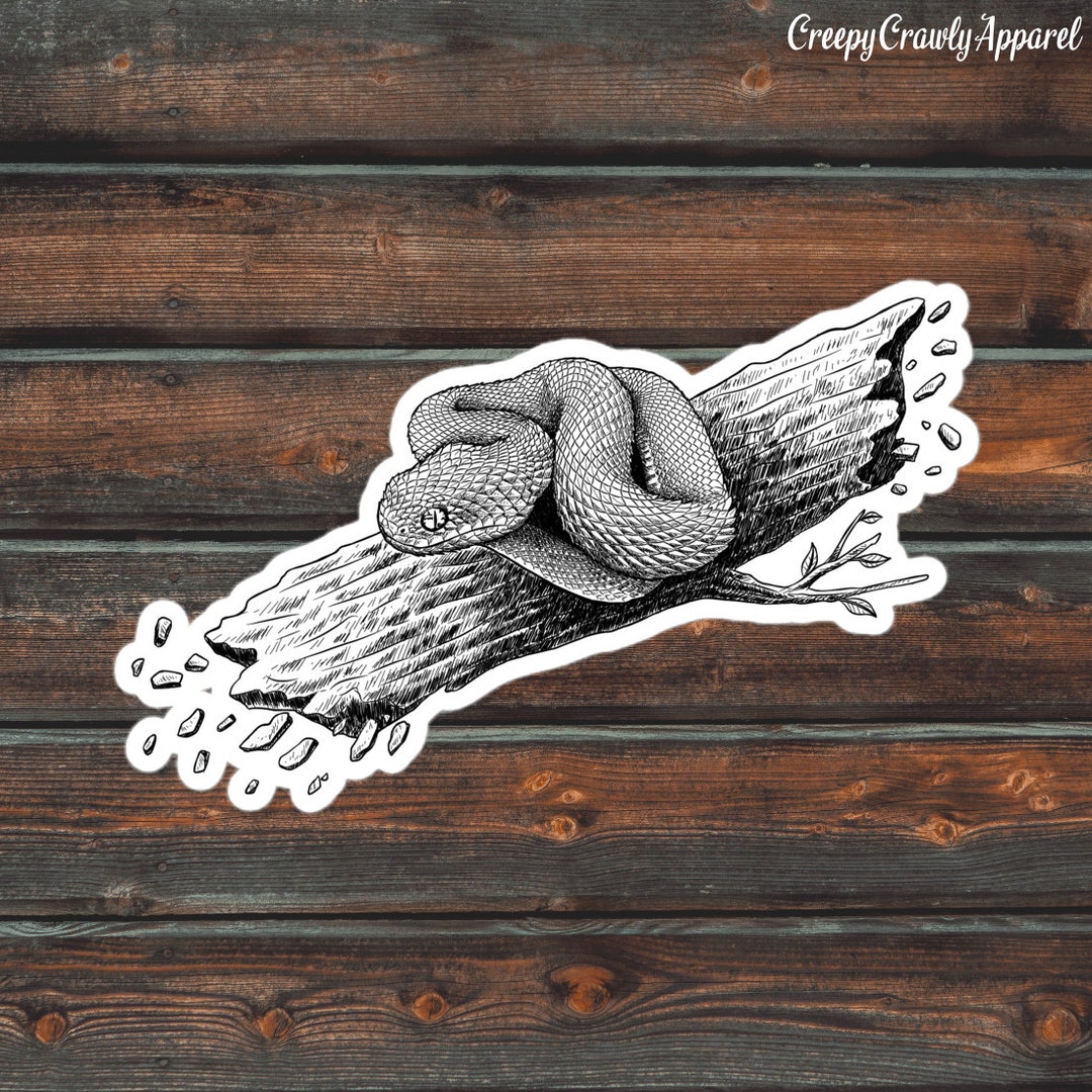Viper Snake Sticker, Reptile Sticker, Snake Sticker, Vinyl Waterproof ...