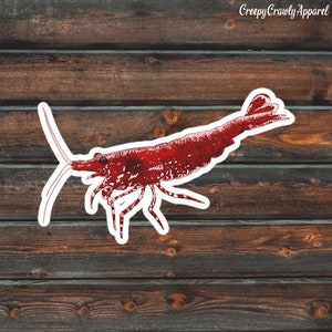 Cherry Shrimp Sticker, Shrimp Sticker, Vinyl Waterproof Red Cherry Shrimp Sticker