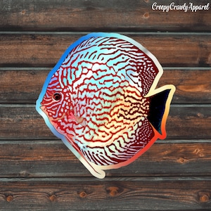 Red Discus Fish Holographic Sticker, Fish Sticker, Vinyl Pet Discus Sticker