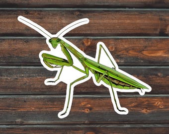 Praying Mantis Sticker, Bug Sticker, Mantis Sticker, Waterproof Mantis Sticker