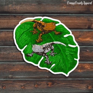 Crested Gecko Sticker, Reptile Sticker, Lizard Sticker, Vinyl Waterproof Pet Gecko Sticker