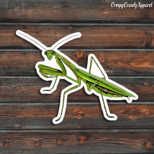 Praying Mantis Sticker, Bug Sticker, Mantis Sticker, Vinyl Waterproof Mantis Sticker