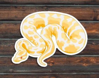 Albino Ball Python Sticker, Reptile Sticker, Snake Sticker, Waterproof Pet Ball Python Sticker