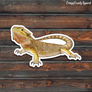 Bearded Dragon Sticker, Reptile Sticker, Lizard Sticker, Vinyl Waterproof Pet Bearded Dragon Sticker