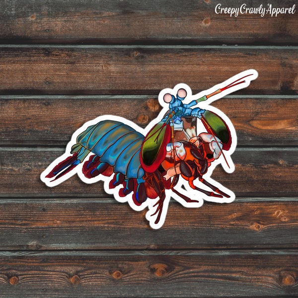 Mantis Shrimp Sticker, Shrimp Sticker, Ocean Sticker, Vinyl Waterproof Mantis Shrimp Sticker