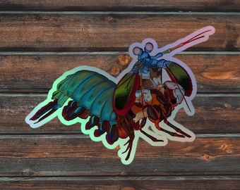 Mantis Shrimp Holographic Sticker, Shrimp Sticker, Ocean Sticker,  Mantis Shrimp Sticker