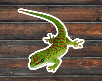 Day Gecko Sticker, Reptile Sticker, Lizard Sticker, Waterproof Pet Giant Day Gecko Sticker