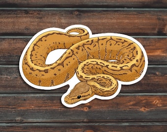 ピンストライプボールパイソンステッカー、爬虫類ステッカー、ヘビステッカー、防水ペットボールパイソンステッカー