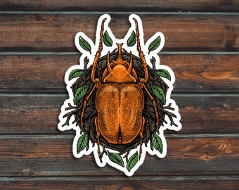 Orange Beetle Sticker, Bug Sticker, Insect Sticker, Waterproof Beetle Decal
