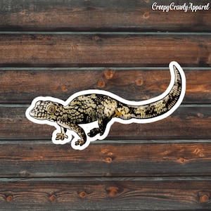 Chameleon Gecko Sticker, Reptile Sticker, Eurydactylodes Sticker, Vinyl Waterproof Pet Gecko Sticker