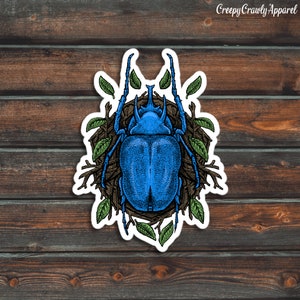 Blue Beetle Sticker, Bug Sticker, Insect Sticker, Vinyl Waterproof Beetle Sticker