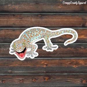 Tokay Gecko Sticker, Reptile Sticker, Lizard Sticker, Vinyl Waterproof Pet Tokay Gecko Sticker