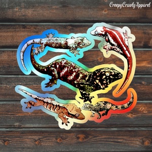 New Caledonian Gecko Holographic Sticker, Crested, Gargoyle, Leachianus, Chahoua, Chameleon Gecko Sticker, Vinyl Pet Gecko Sticker