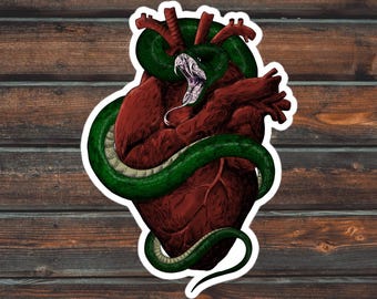 Schlange & Herz Aufkleber, Reptilien Aufkleber, Schlangenaufkleber, wasserdichter Boa Aufkleber