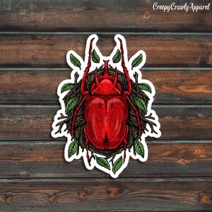 Red Beetle Sticker, Bug Sticker, Insect Sticker, Vinyl Waterproof Beetle Sticker