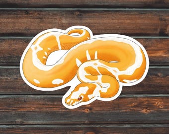 Leopard Clown Ball Python Sticker, Reptile Sticker, Snake Sticker, Waterproof Pet Ball Python Sticker