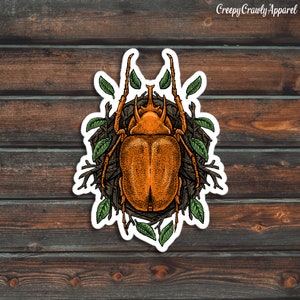 Orange Beetle Sticker, Bug Sticker, Insect Sticker, Vinyl Waterproof Beetle Sticker