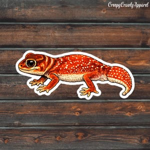 Knob Tailed Gecko Sticker, Lizard Sticker, Reptile Decal, Waterproof Gecko Sticker