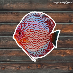 Red Discus Fish Sticker, Fish Sticker, Vinyl Waterproof Pet Discus Sticker