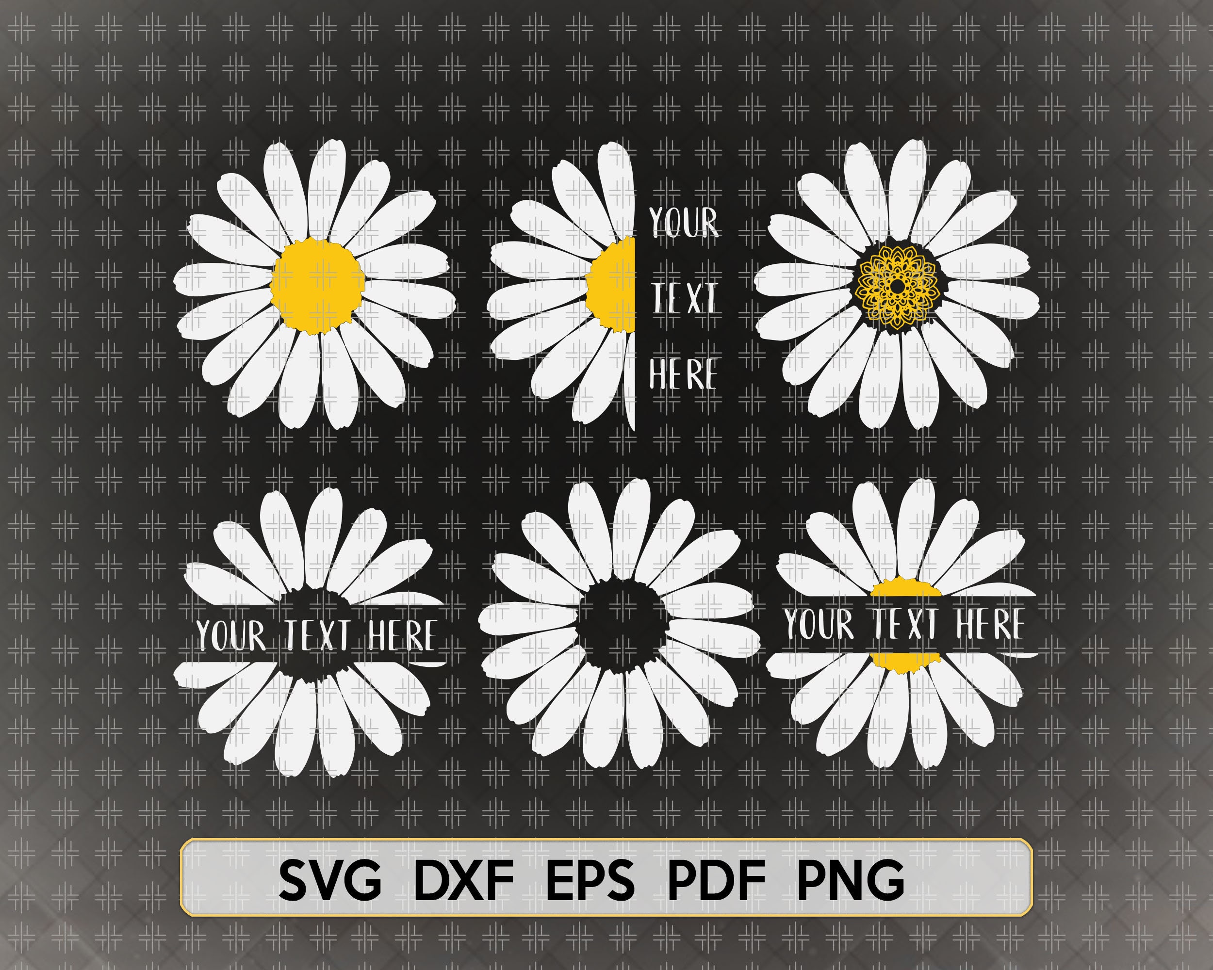 Daisy Bundle SVG Flower SVG Svg Files For Cricut SVG Cutting | Etsy