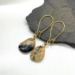 May include: A pair of gold dangle earrings with a black and brown stone pendant. The stones are irregularly shaped and have a marbled pattern.