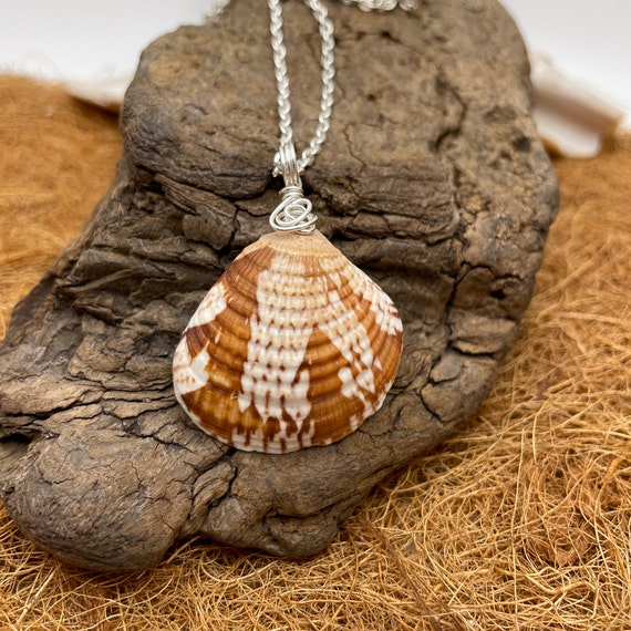 Natural seashell jewelry clearance
