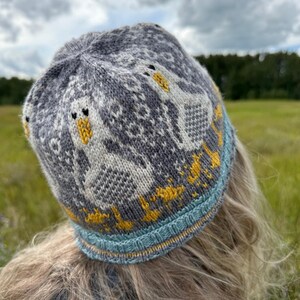 Puede incluir: Un gorro de punto gris con un patr&oacute;n de gansos blancos con picos y patas amarillas. El gorro tiene un borde azul y amarillo. El gorro lo lleva una persona con pelo rubio.