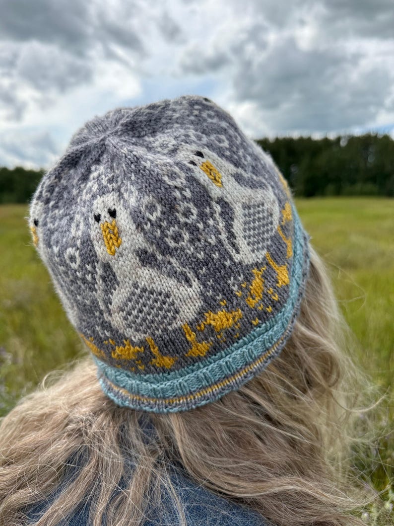 Puede incluir: Un gorro de punto gris con un patr&oacute;n de gansos blancos con picos y patas amarillas. El gorro tiene un borde azul y amarillo. El gorro lo lleva una persona con pelo rubio.
