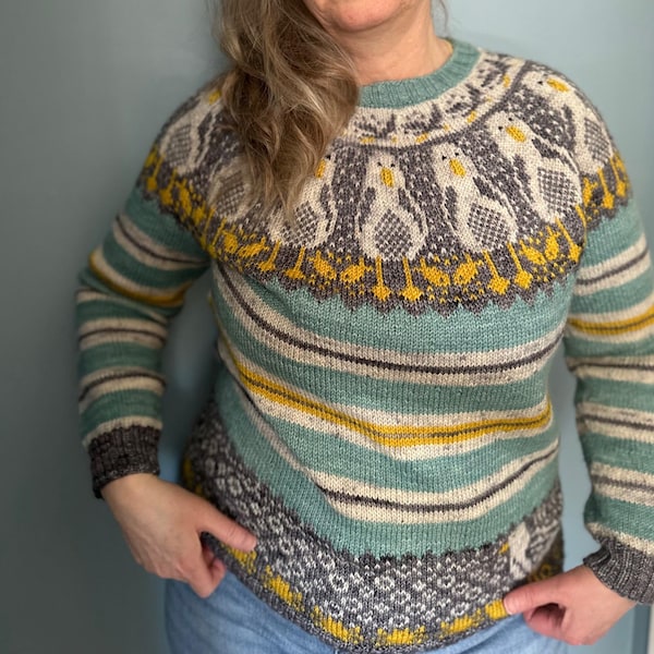 KNITTING PATTERN/ Mine! Pullover/ Adult/ Seagulls/sweater/fair isle
