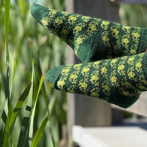 Froglet Socks Knitting Pattern, Fair Isle Frog Design (PDF Pattern)