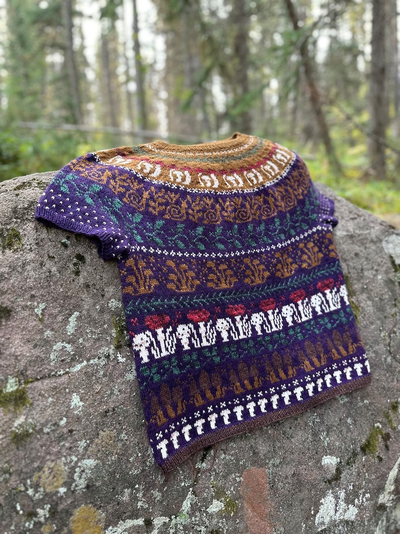 Pode incluir: Um su&eacute;ter de malha roxo, marrom, verde e branco com um padr&atilde;o de cogumelos e flores.