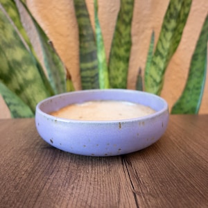 May include: A round, shallow ceramic bowl with a matte lavender exterior featuring subtle brown speckles. The interior of the bowl is filled with a smooth, light beige substance, creating a contrast between the textured rim and the contents.