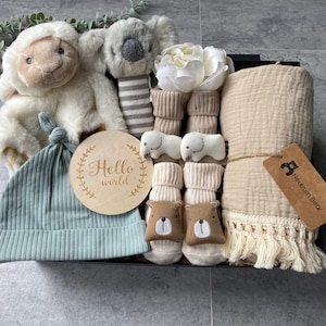 Bienvenue dans le monde, cadeau de naissance, bébé garçon, cadeau de naissance, cadeau naissance, coffret cadeau naissance, panier bébé, cadeau baby shower, cadeau de luxe image 1