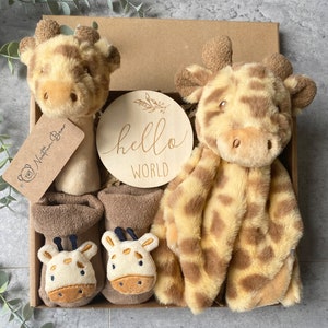 New Baby Gift Set, New Baby boy gift, New Baby Girl Gift,  Newborn gift box, New Baby Gift box, Baby Shower Gift, Baby Gift